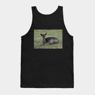 Fallow Deer Tank Top